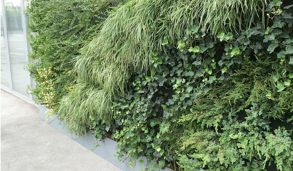 Grafiken einer fassadengebundenen Fassadenbegrünung mit vollflächigem Vegetationsträger im Baukastensystem. Lage der Pflanze im Winkel von < 90 °
(c) VERTICAL MAGIC GARDEN