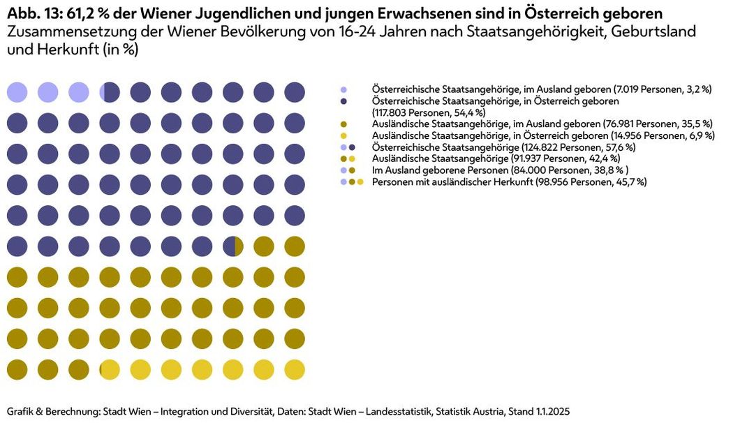 Grafische Darstellung der Zusammensetzung der jugendlichen Wiener Bevölkerung im Alter von 16 bis 24 Jahren wie im Text beschrieben.