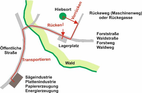 Schematische Darstellung der Transportwege beim Holzschlag