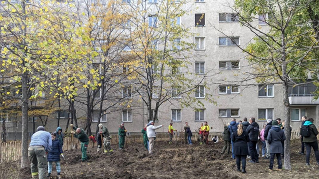 A large number of people, some of them in work clothes, are planting trees and shrubs on a ploughed-up patch of land in front of a 1960s municipal housing block.