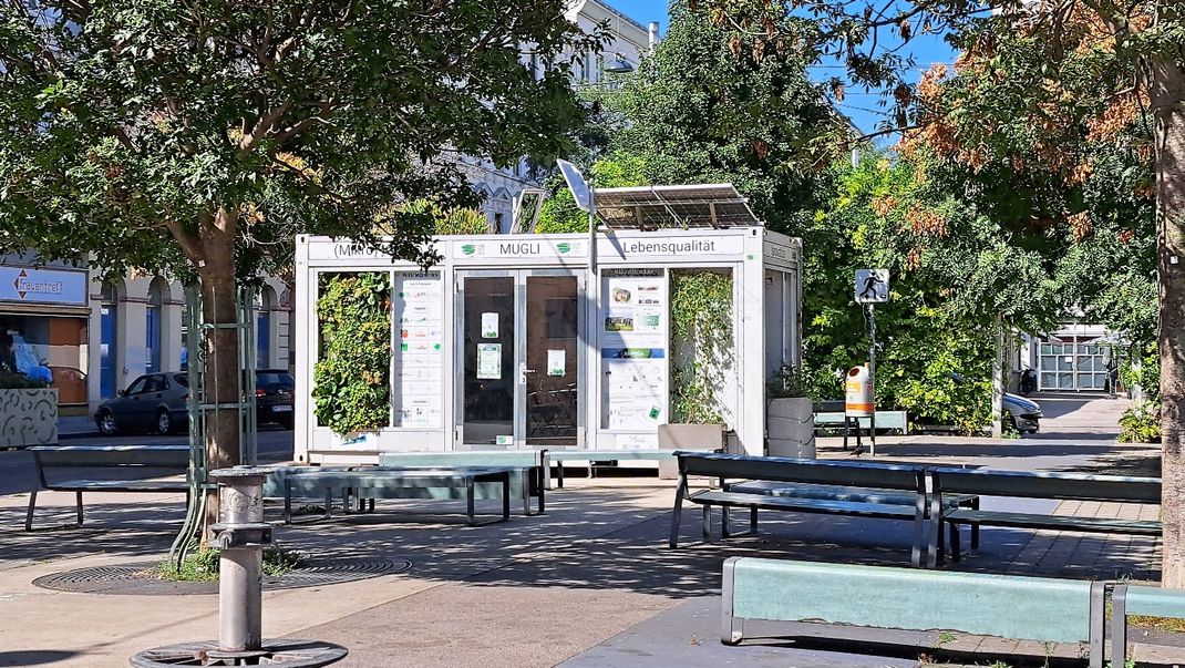 Foto eines weißen Infocontainers, teilweise mit grünen Fassadenflächen auf einem Platz mit Bäumen und Bänken im Vordergrund.