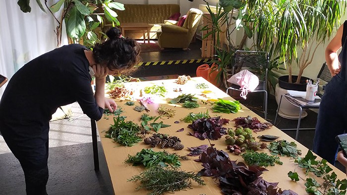 "Inks from Weeds" worktable

Large worktable with many small heaps of leaves in different colours. To the left, a lady in black is bent over the table; a sofa can be seen in the background. 