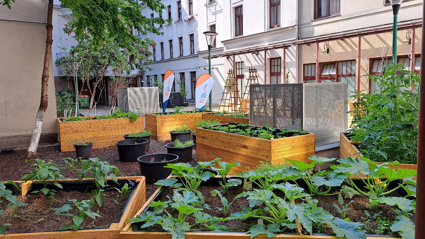 Gardening together at the Obdach Favorita hostel

Raised beds planted with vegetables in the inner courtyard 