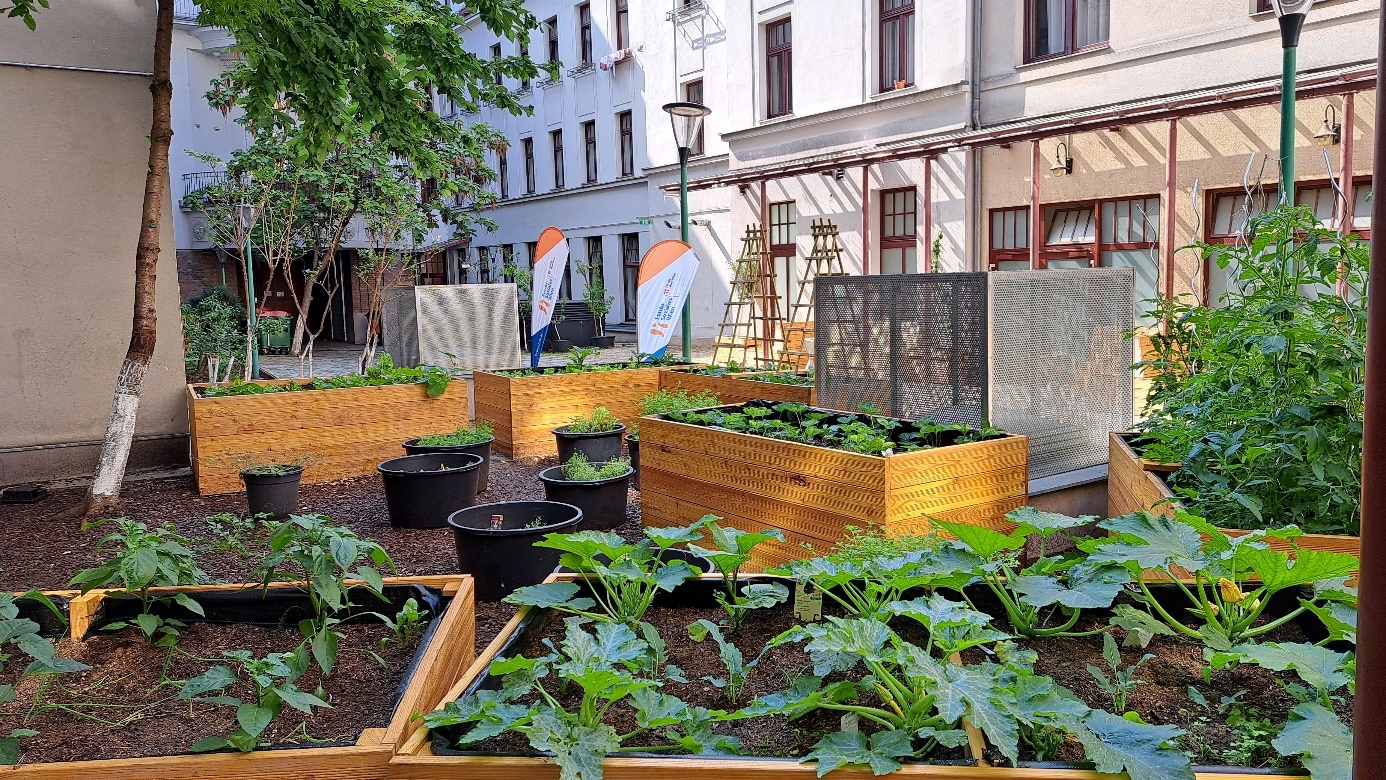Hochbeete mit Gemüsepflanzen im Innenhof. Copyright: Stadt Wien / Bojan Schnabl