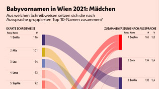 Die Grafik zeigt, aus welchen exakten Schreibweisen sich die Top 10 Vornamen der 2021 in Wien geborenen Mdchen zusammensetzen.