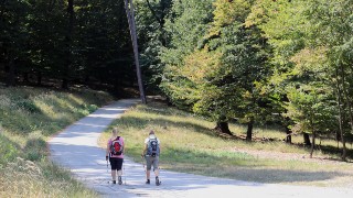 Ein Mann und eine Frau mit Ruckscken spazieren von hinten gesehen auf einem Schotterweg durch den Wald